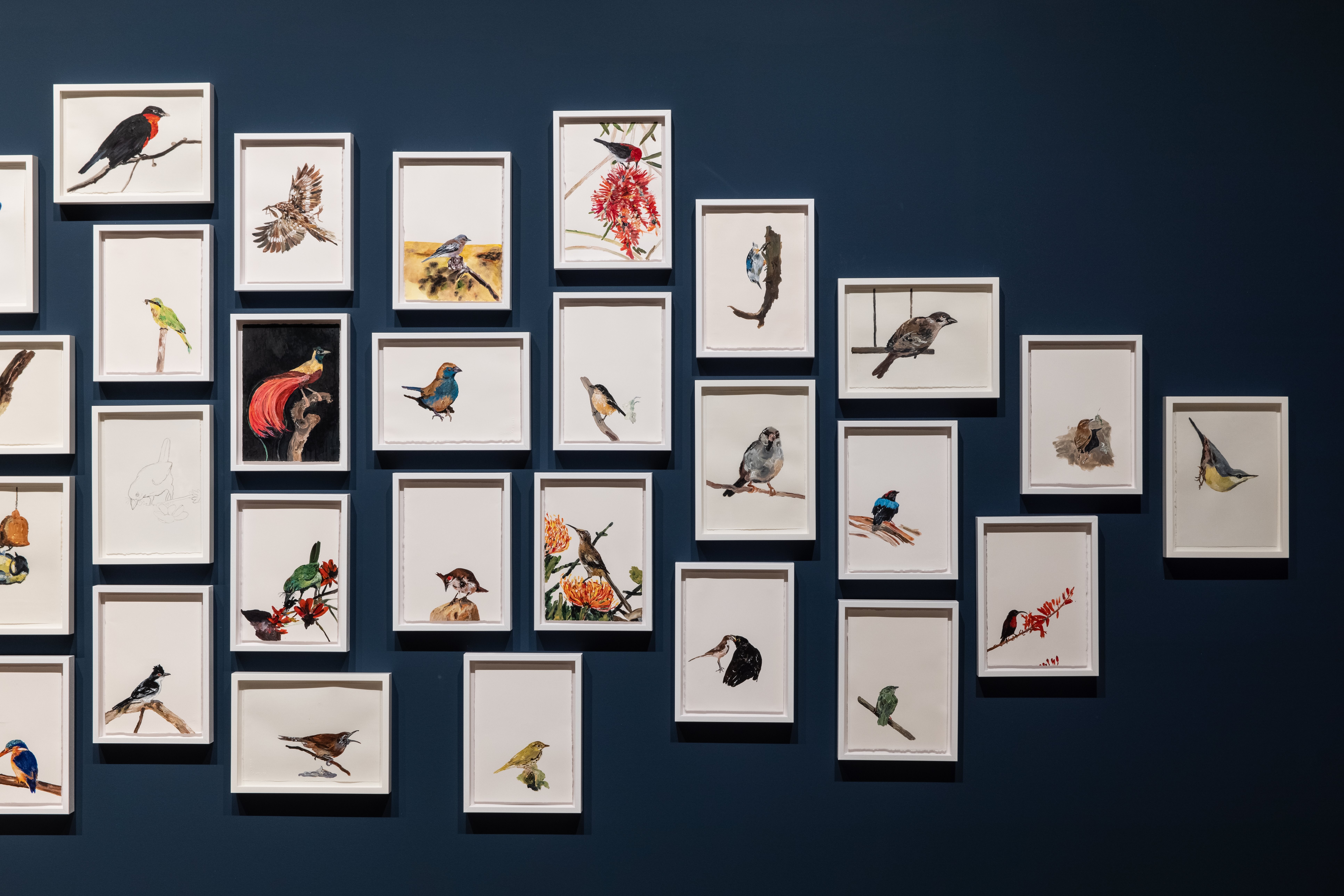 Time flies – Documentation 2