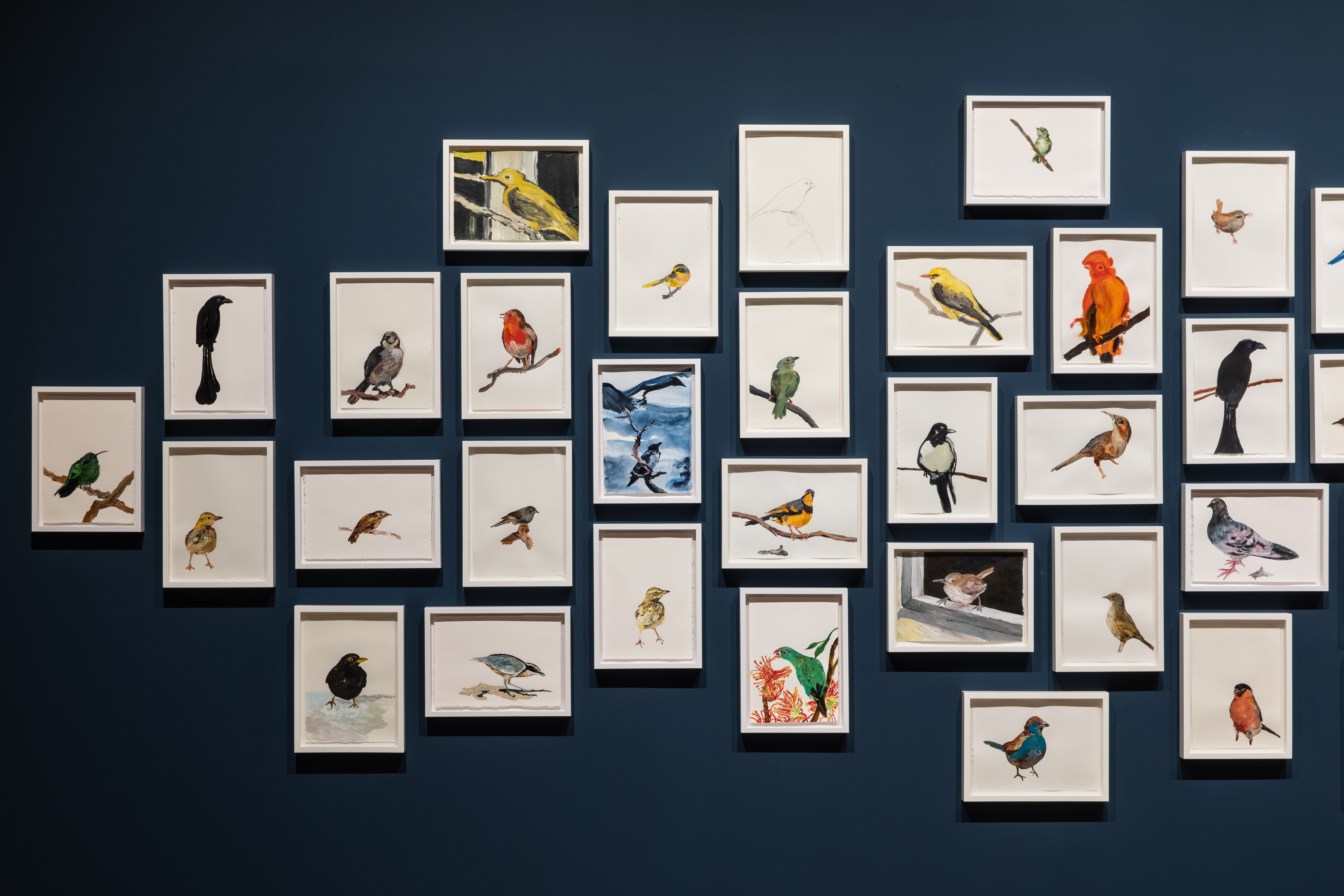 Time flies – Documentation 4