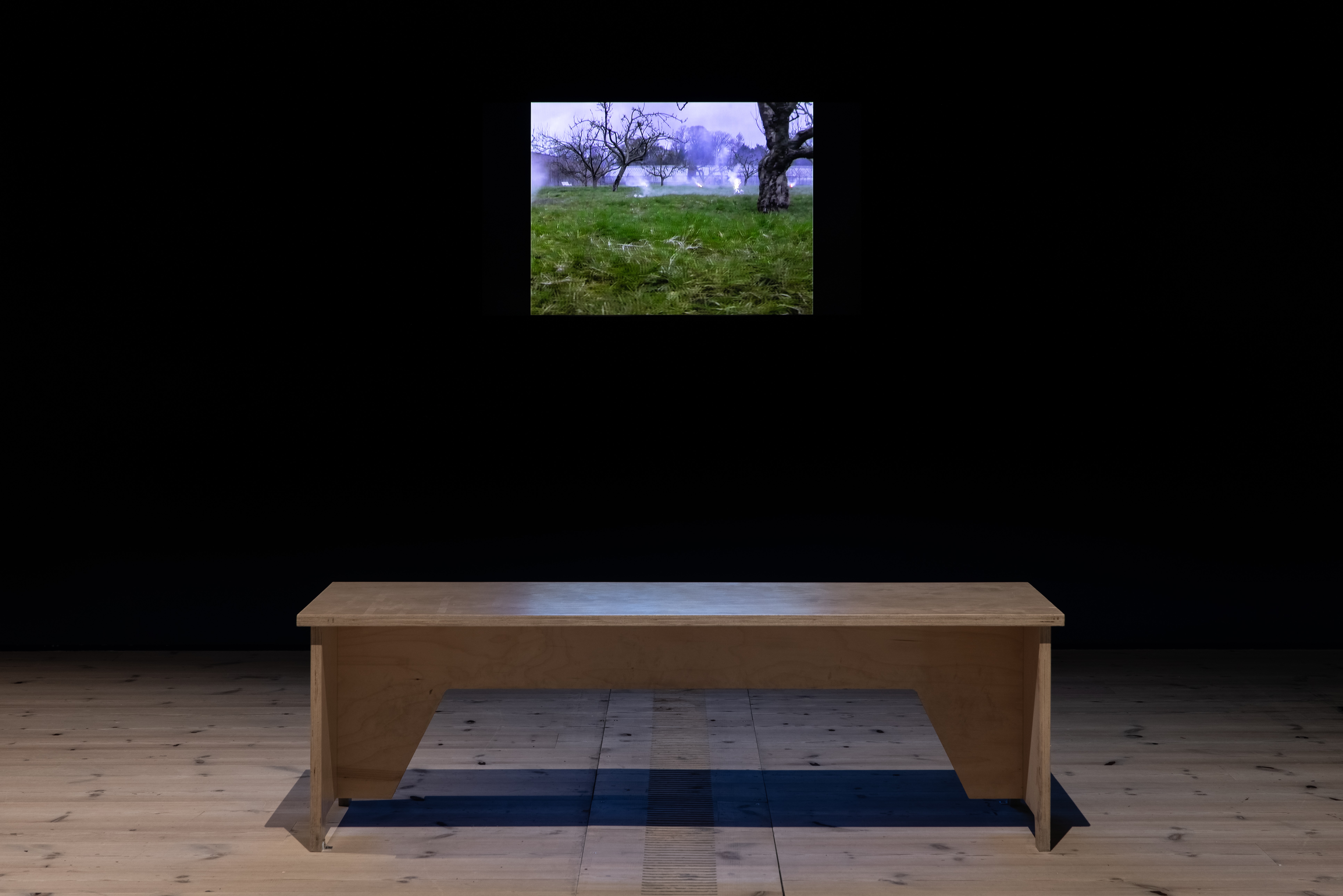 Magnesium Bird – Documentation 1