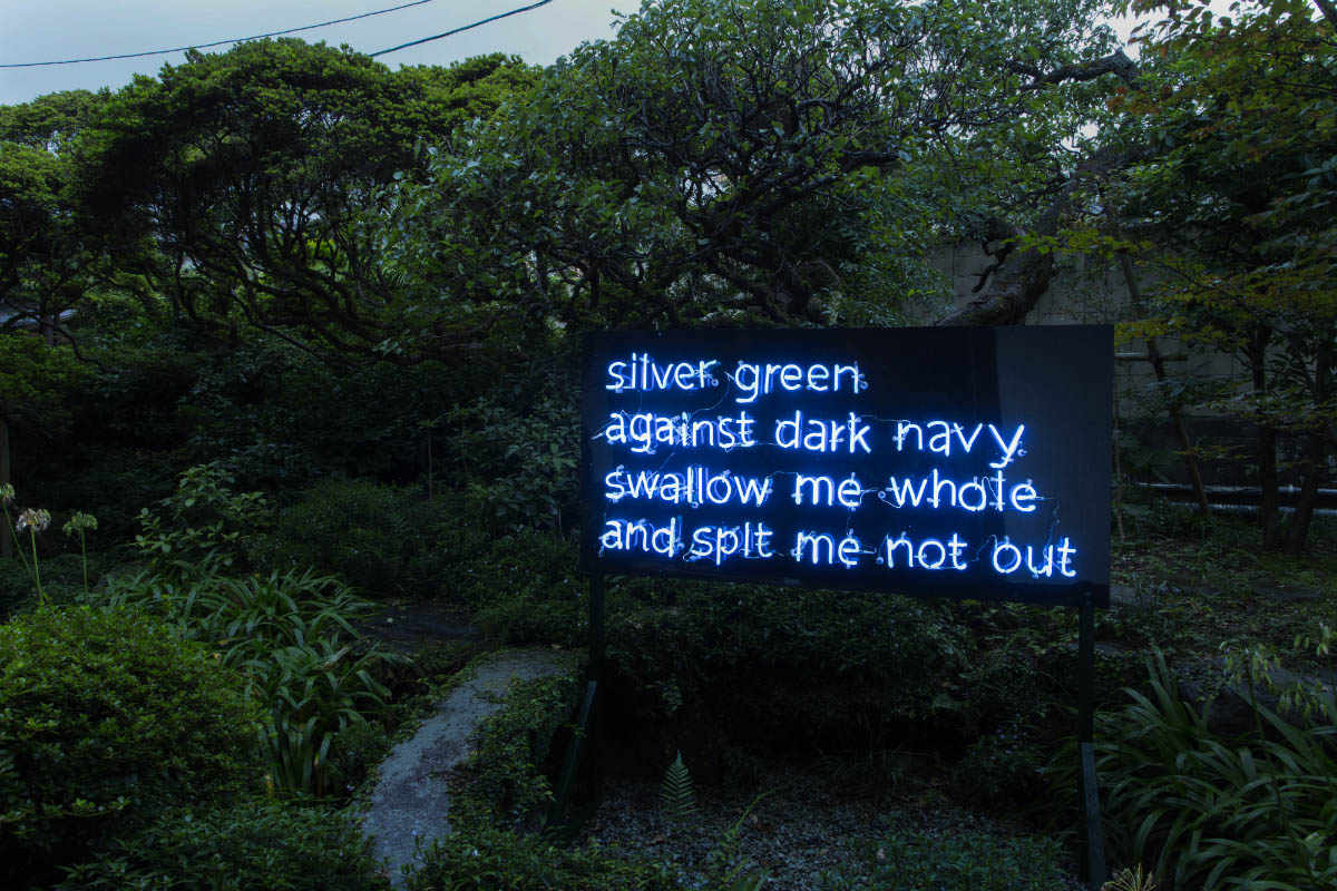 Silver green against dark navy – Documentation 1