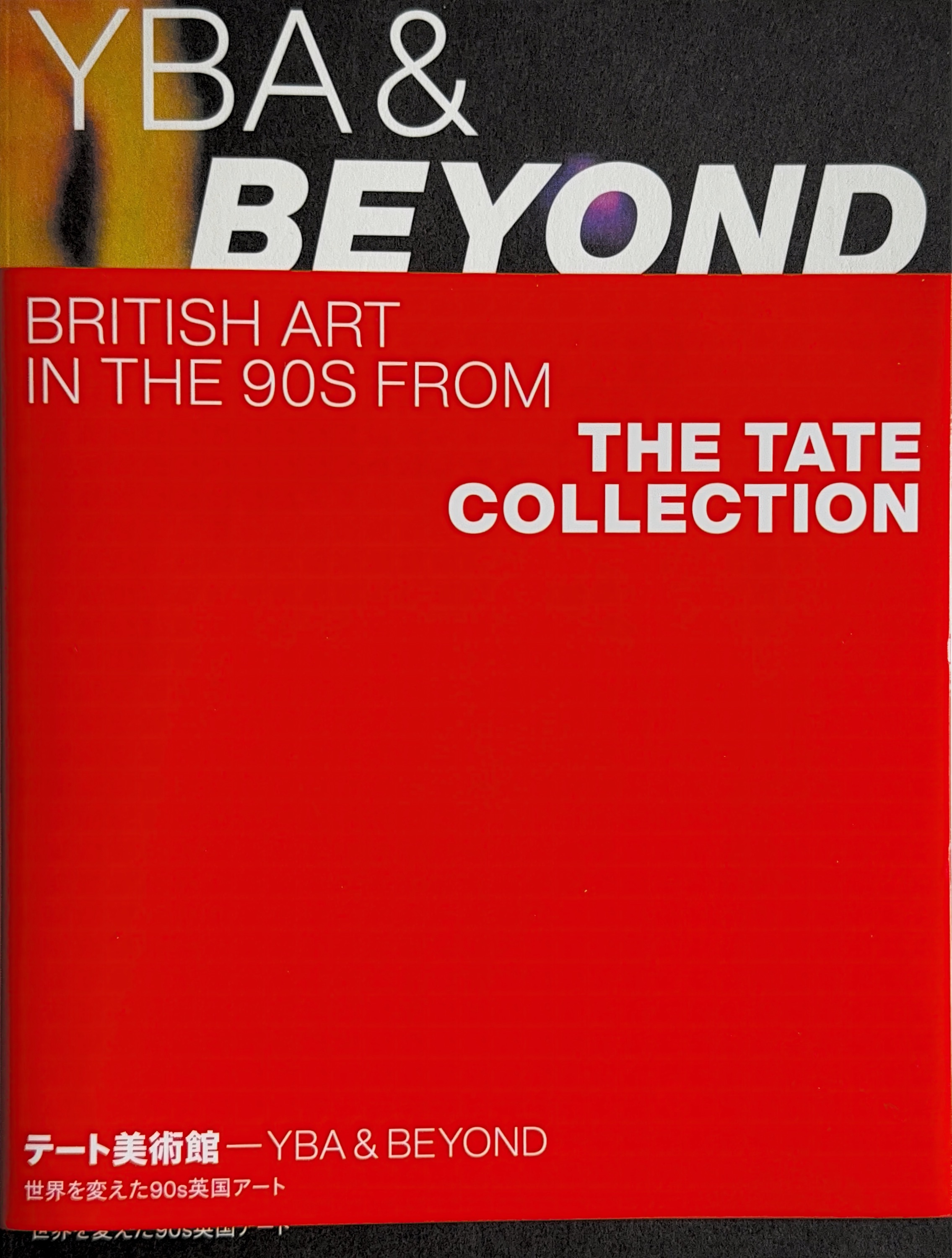 YBA & Beyond: British Art in the 90s from the Tate Collection